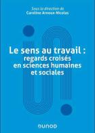 206 - Le sens au travail. Regards croisés en sciences humaines et sociales_C. Arnoux-Nicolas_Dunod_2025